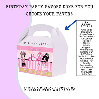 Pink Mouse Birthday Party Favors DFY