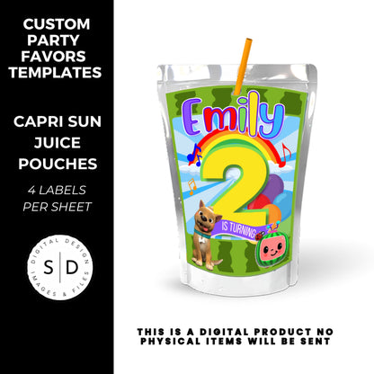 Rainbow Melon Birthday Party Favor Bundle DFY